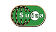 SUICA